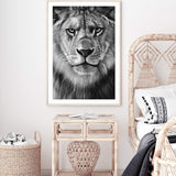 Leo The Lion II-The Paper Tree-africa,african,african animal,African animals,animals,Art_Prints,Artwork,black,black & white,black and white,boho,Designer,hand painted,leo,lion,monochrome,portrait,premium art print,wall art,Wall_Art,Wall_Art_Prints