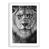 Leo The Lion II-The Paper Tree-africa,african,african animal,African animals,animals,Art_Prints,Artwork,black,black & white,black and white,boho,Designer,hand painted,leo,lion,monochrome,portrait,premium art print,wall art,Wall_Art,Wall_Art_Prints