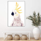 Cassidy The Cockatoo-The Paper Tree-animal,australia,australian,australiana,beach,bird,boho,cockatoo,feathers,neutral,painted,painted print,parrot,portrait,premium art print,wall art,Wall_Art,Wall_Art_Prints,white,yellow