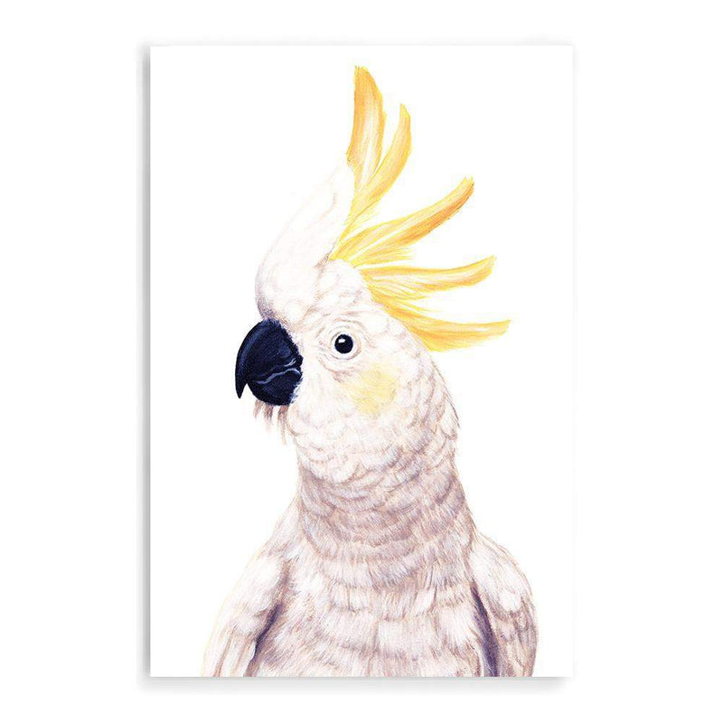 Cassidy The Cockatoo-The Paper Tree-animal,australia,australian,australiana,beach,bird,boho,cockatoo,feathers,neutral,painted,painted print,parrot,portrait,premium art print,wall art,Wall_Art,Wall_Art_Prints,white,yellow