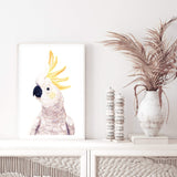 Cassidy The Cockatoo-The Paper Tree-animal,australia,australian,australiana,beach,bird,boho,cockatoo,feathers,neutral,painted,painted print,parrot,portrait,premium art print,wall art,Wall_Art,Wall_Art_Prints,white,yellow