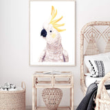 Cassidy The Cockatoo-The Paper Tree-animal,australia,australian,australiana,beach,bird,boho,cockatoo,feathers,neutral,painted,painted print,parrot,portrait,premium art print,wall art,Wall_Art,Wall_Art_Prints,white,yellow