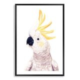 Cassidy The Cockatoo-The Paper Tree-animal,australia,australian,australiana,beach,bird,boho,cockatoo,feathers,neutral,painted,painted print,parrot,portrait,premium art print,wall art,Wall_Art,Wall_Art_Prints,white,yellow