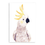 Cassidy The Cockatoo II-The Paper Tree-animal,australia,australian,australiana,bird,boho,cockatoo,feathers,hand painted,neutral,painted,parrot,portrait,premium art print,wall art,Wall_Art,Wall_Art_Prints,white,yellow