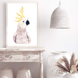 Cassidy The Cockatoo II-The Paper Tree-animal,australia,australian,australiana,bird,boho,cockatoo,feathers,hand painted,neutral,painted,parrot,portrait,premium art print,wall art,Wall_Art,Wall_Art_Prints,white,yellow