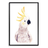 Cassidy The Cockatoo II-The Paper Tree-animal,australia,australian,australiana,bird,boho,cockatoo,feathers,hand painted,neutral,painted,parrot,portrait,premium art print,wall art,Wall_Art,Wall_Art_Prints,white,yellow