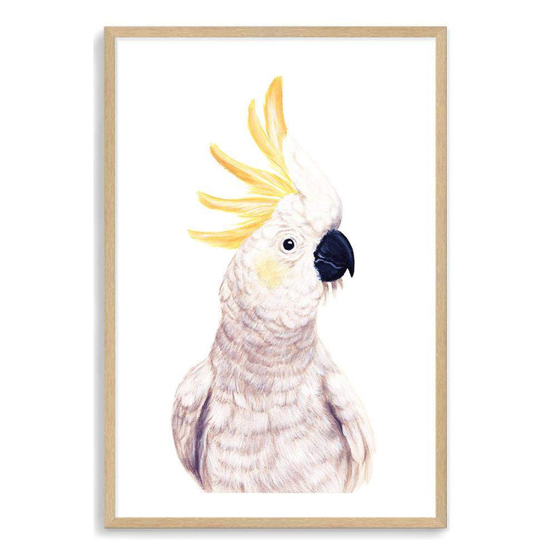 Cassidy The Cockatoo II-The Paper Tree-animal,australia,australian,australiana,bird,boho,cockatoo,feathers,hand painted,neutral,painted,parrot,portrait,premium art print,wall art,Wall_Art,Wall_Art_Prints,white,yellow