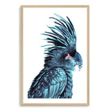 The Palm Cockatoo-The Paper Tree-Artwork,BIRD,Birds,blue bird,blue parrot,cockatiel,cockatoo,colourful Bird,hamptons,painted bird,parrot,parrots,portrait,premium art print,wall art,Wall_Art,Wall_Art_Prints