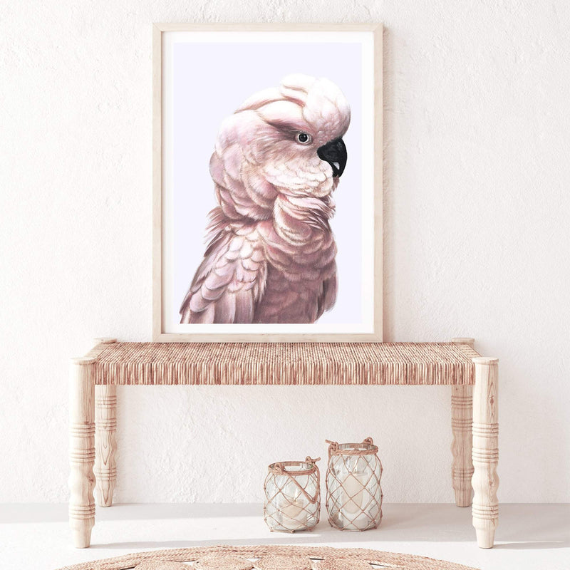 Pink Cockatoo-The Paper Tree-Artwork,BIRD,Birds,blue bird,blue parrot,boho,cockatiel,cockatoo,colourful Bird,painted bird,parrot,parrots,pink cockatoo,portrait,premium art print,wall art,Wall_Art,Wall_Art_Prints