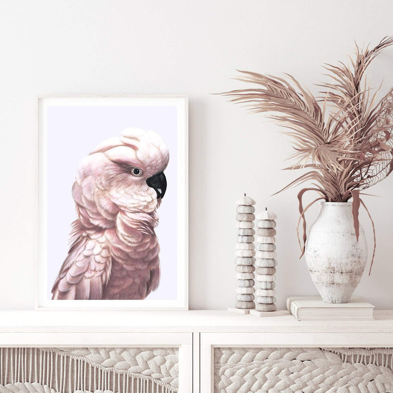 Pink Cockatoo-The Paper Tree-Artwork,BIRD,Birds,blue bird,blue parrot,boho,cockatiel,cockatoo,colourful Bird,painted bird,parrot,parrots,pink cockatoo,portrait,premium art print,wall art,Wall_Art,Wall_Art_Prints