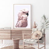 Pink Cockatoo-The Paper Tree-Artwork,BIRD,Birds,blue bird,blue parrot,boho,cockatiel,cockatoo,colourful Bird,painted bird,parrot,parrots,pink cockatoo,portrait,premium art print,wall art,Wall_Art,Wall_Art_Prints