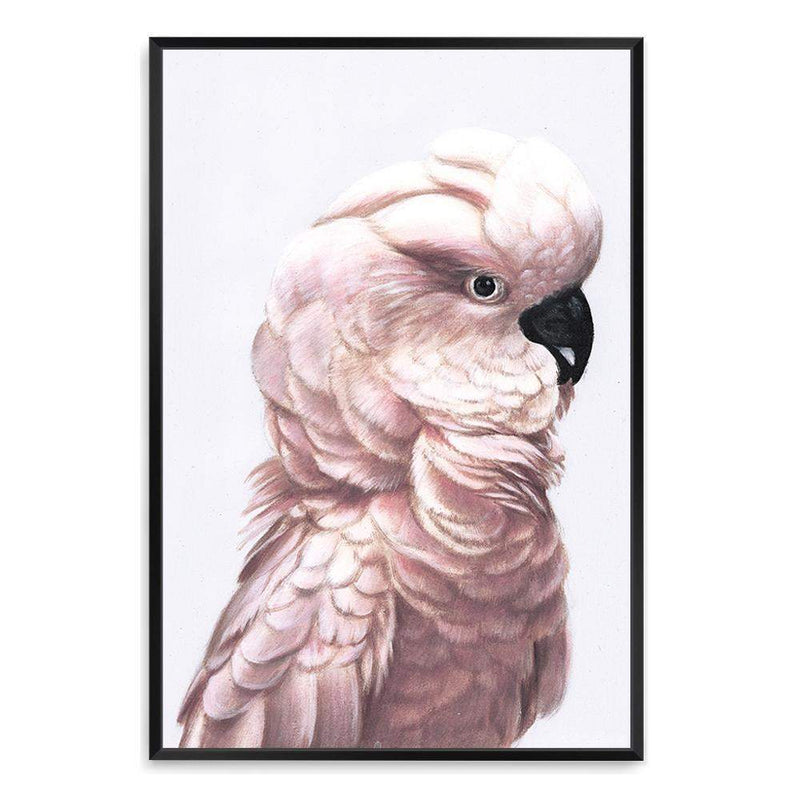 Pink Cockatoo-The Paper Tree-Artwork,BIRD,Birds,blue bird,blue parrot,boho,cockatiel,cockatoo,colourful Bird,painted bird,parrot,parrots,pink cockatoo,portrait,premium art print,wall art,Wall_Art,Wall_Art_Prints