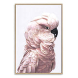 Pink Cockatoo-The Paper Tree-Artwork,BIRD,Birds,blue bird,blue parrot,boho,cockatiel,cockatoo,colourful Bird,painted bird,parrot,parrots,pink cockatoo,portrait,premium art print,wall art,Wall_Art,Wall_Art_Prints