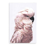 Pink Cockatoo-The Paper Tree-Artwork,BIRD,Birds,blue bird,blue parrot,boho,cockatiel,cockatoo,colourful Bird,painted bird,parrot,parrots,pink cockatoo,portrait,premium art print,wall art,Wall_Art,Wall_Art_Prints