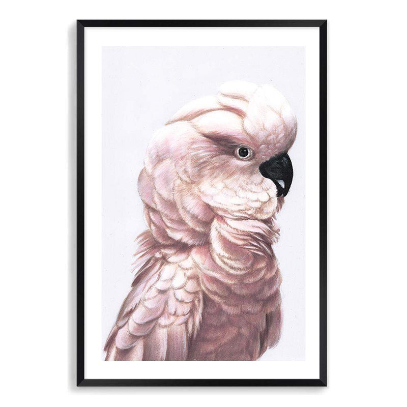 Pink Cockatoo-The Paper Tree-Artwork,BIRD,Birds,blue bird,blue parrot,boho,cockatiel,cockatoo,colourful Bird,painted bird,parrot,parrots,pink cockatoo,portrait,premium art print,wall art,Wall_Art,Wall_Art_Prints