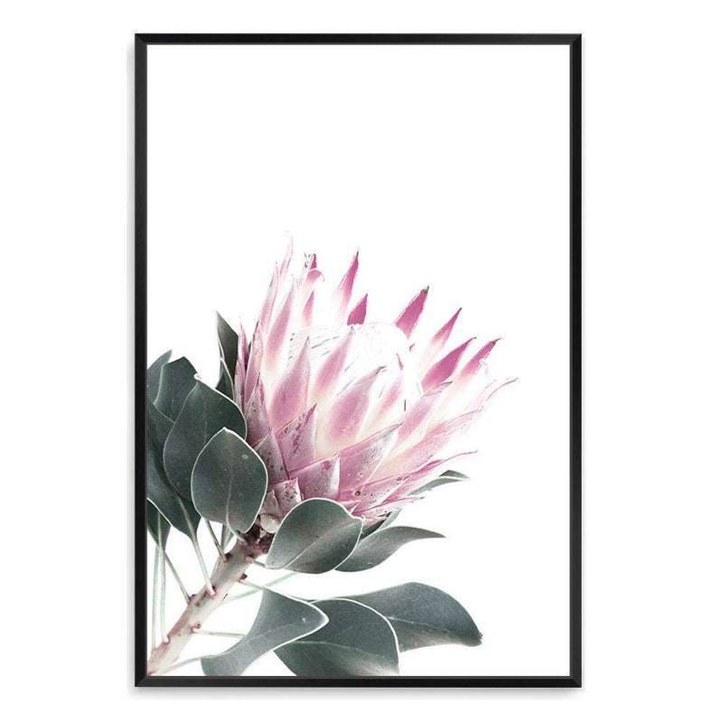 Dusty Pink Protea II-The Paper Tree-dusty pink,floral,floral artwork,flower,flowers,green,pink,pink flower,pink protea,portait,premium art print,protea,protea art,protea flower,protea flowers,wall art,Wall_Art,Wall_Art_Prints