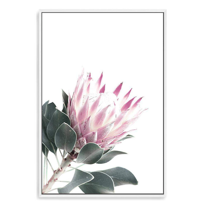 Dusty Pink Protea II-The Paper Tree-dusty pink,floral,floral artwork,flower,flowers,green,pink,pink flower,pink protea,portait,premium art print,protea,protea art,protea flower,protea flowers,wall art,Wall_Art,Wall_Art_Prints