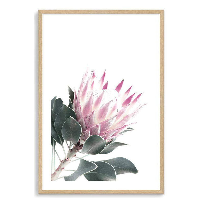 Dusty Pink Protea II-The Paper Tree-dusty pink,floral,floral artwork,flower,flowers,green,pink,pink flower,pink protea,portait,premium art print,protea,protea art,protea flower,protea flowers,wall art,Wall_Art,Wall_Art_Prints