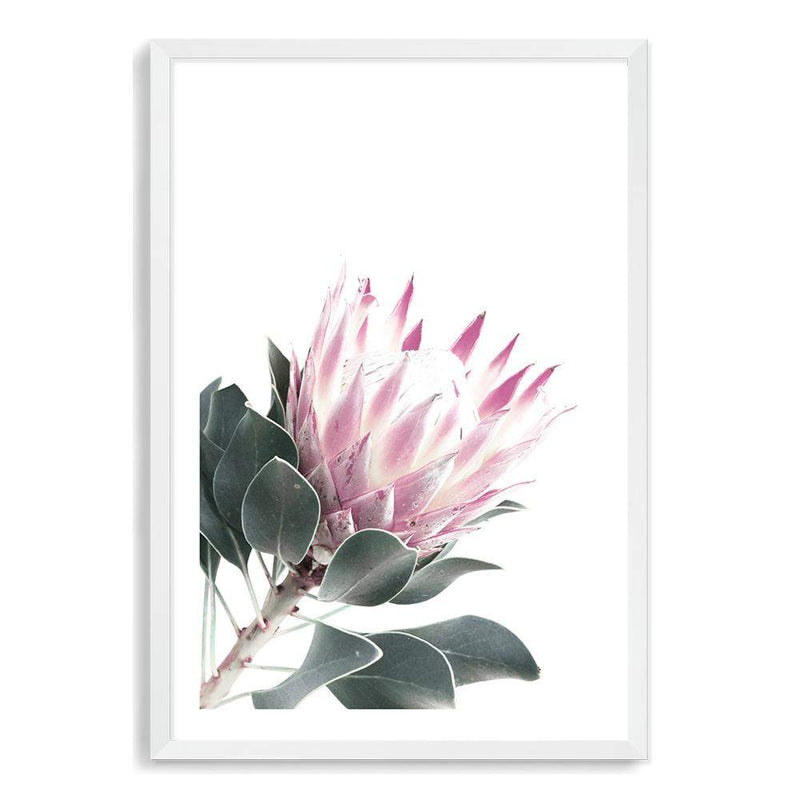 Dusty Pink Protea II-The Paper Tree-dusty pink,floral,floral artwork,flower,flowers,green,pink,pink flower,pink protea,portait,premium art print,protea,protea art,protea flower,protea flowers,wall art,Wall_Art,Wall_Art_Prints