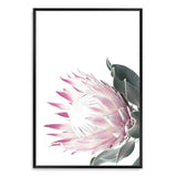 Dusty Pink Protea-The Paper Tree-dusty pink,floral,floral artwork,flower,flowers,green,pink,pink flower,pink protea,portrait,protea,protea art,protea artwork,protea flower,protea flowers,wall art,Wall_Art,Wall_Art_Prints