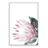 Dusty Pink Protea-The Paper Tree-dusty pink,floral,floral artwork,flower,flowers,green,pink,pink flower,pink protea,portrait,protea,protea art,protea artwork,protea flower,protea flowers,wall art,Wall_Art,Wall_Art_Prints