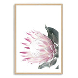 Dusty Pink Protea-The Paper Tree-dusty pink,floral,floral artwork,flower,flowers,green,pink,pink flower,pink protea,portrait,protea,protea art,protea artwork,protea flower,protea flowers,wall art,Wall_Art,Wall_Art_Prints