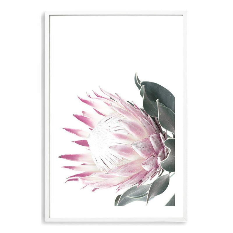 Dusty Pink Protea-The Paper Tree-dusty pink,floral,floral artwork,flower,flowers,green,pink,pink flower,pink protea,portrait,protea,protea art,protea artwork,protea flower,protea flowers,wall art,Wall_Art,Wall_Art_Prints