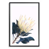 Yellow Protea II-The Paper Tree-floral,flower,flowers,portrait,premium art print,protea,protea flower,protea flowers,wall art,Wall_Art,Wall_Art_Prints,yellow,yellow flower