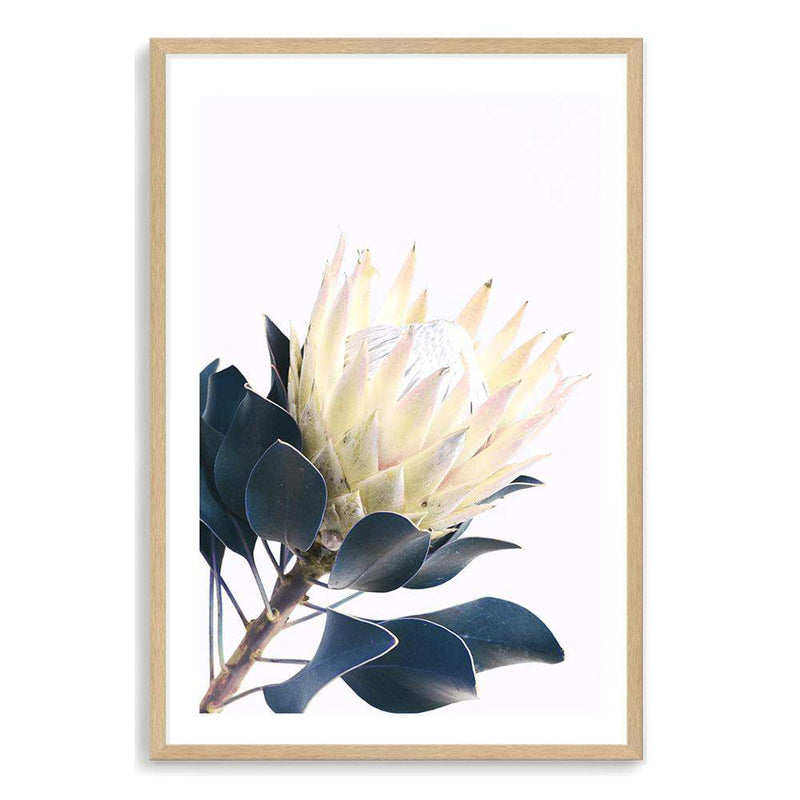 Yellow Protea II-The Paper Tree-floral,flower,flowers,portrait,premium art print,protea,protea flower,protea flowers,wall art,Wall_Art,Wall_Art_Prints,yellow,yellow flower