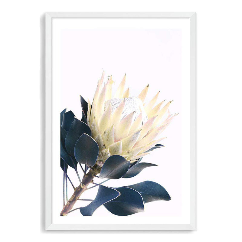 Yellow Protea II-The Paper Tree-floral,flower,flowers,portrait,premium art print,protea,protea flower,protea flowers,wall art,Wall_Art,Wall_Art_Prints,yellow,yellow flower