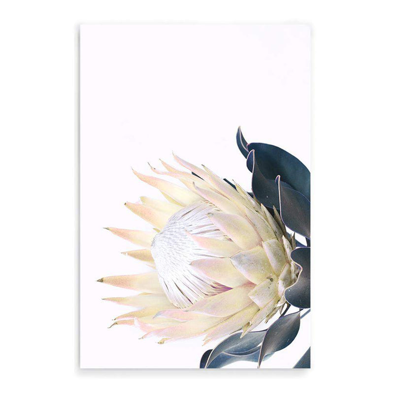 Yellow Protea-The Paper Tree-floral,flower,flowers,portrait,premium art print,protea,protea flower,protea flowers,wall art,Wall_Art,Wall_Art_Prints,yellow,yellow flower