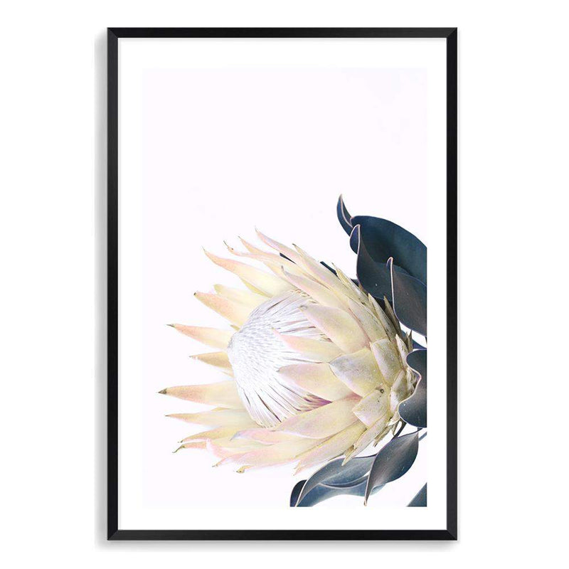 Yellow Protea-The Paper Tree-floral,flower,flowers,portrait,premium art print,protea,protea flower,protea flowers,wall art,Wall_Art,Wall_Art_Prints,yellow,yellow flower