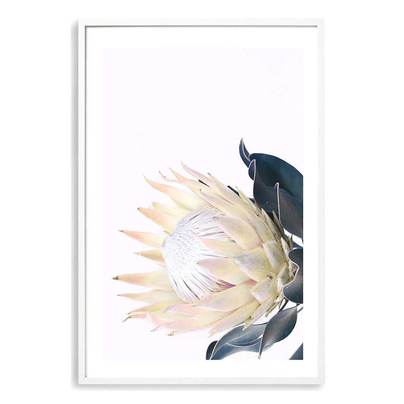 Yellow Protea-The Paper Tree-floral,flower,flowers,portrait,premium art print,protea,protea flower,protea flowers,wall art,Wall_Art,Wall_Art_Prints,yellow,yellow flower