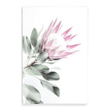 Pink Protea II-The Paper Tree-dusty pink,floral,flower,flowers,pink flower,pink protea,portrait,premium art print,protea,protea flower,protea flowers,wall art,Wall_Art,Wall_Art_Prints