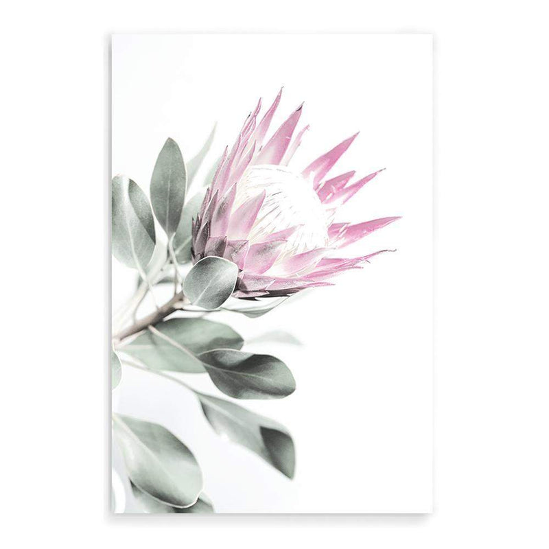 Pink Protea II-The Paper Tree-dusty pink,floral,flower,flowers,pink flower,pink protea,portrait,premium art print,protea,protea flower,protea flowers,wall art,Wall_Art,Wall_Art_Prints