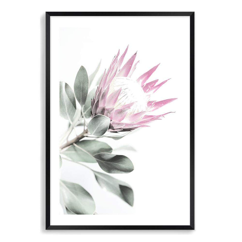 Pink Protea II-The Paper Tree-dusty pink,floral,flower,flowers,pink flower,pink protea,portrait,premium art print,protea,protea flower,protea flowers,wall art,Wall_Art,Wall_Art_Prints