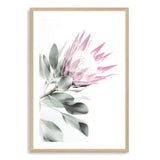 Pink Protea II-The Paper Tree-dusty pink,floral,flower,flowers,pink flower,pink protea,portrait,premium art print,protea,protea flower,protea flowers,wall art,Wall_Art,Wall_Art_Prints