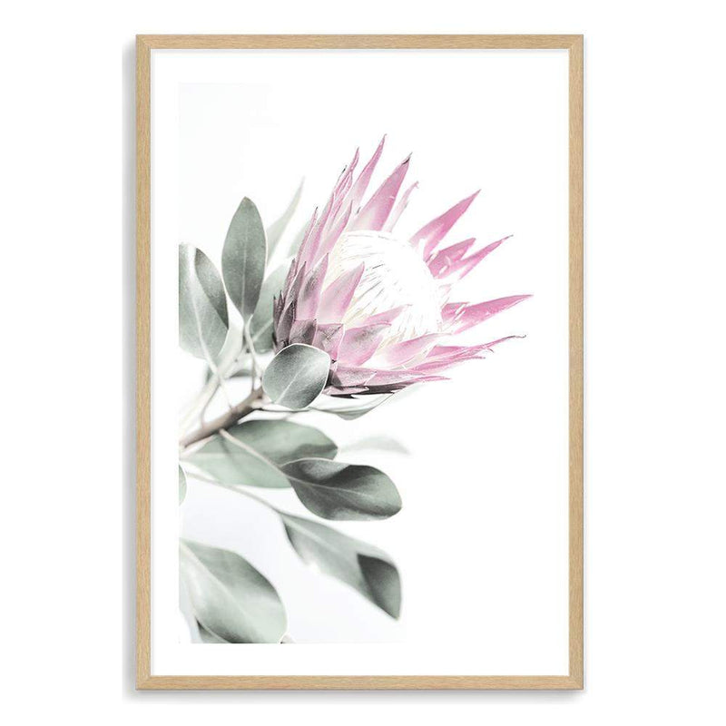 Pink Protea II-The Paper Tree-dusty pink,floral,flower,flowers,pink flower,pink protea,portrait,premium art print,protea,protea flower,protea flowers,wall art,Wall_Art,Wall_Art_Prints