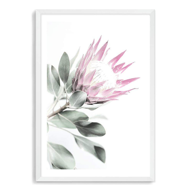 Pink Protea II-The Paper Tree-dusty pink,floral,flower,flowers,pink flower,pink protea,portrait,premium art print,protea,protea flower,protea flowers,wall art,Wall_Art,Wall_Art_Prints