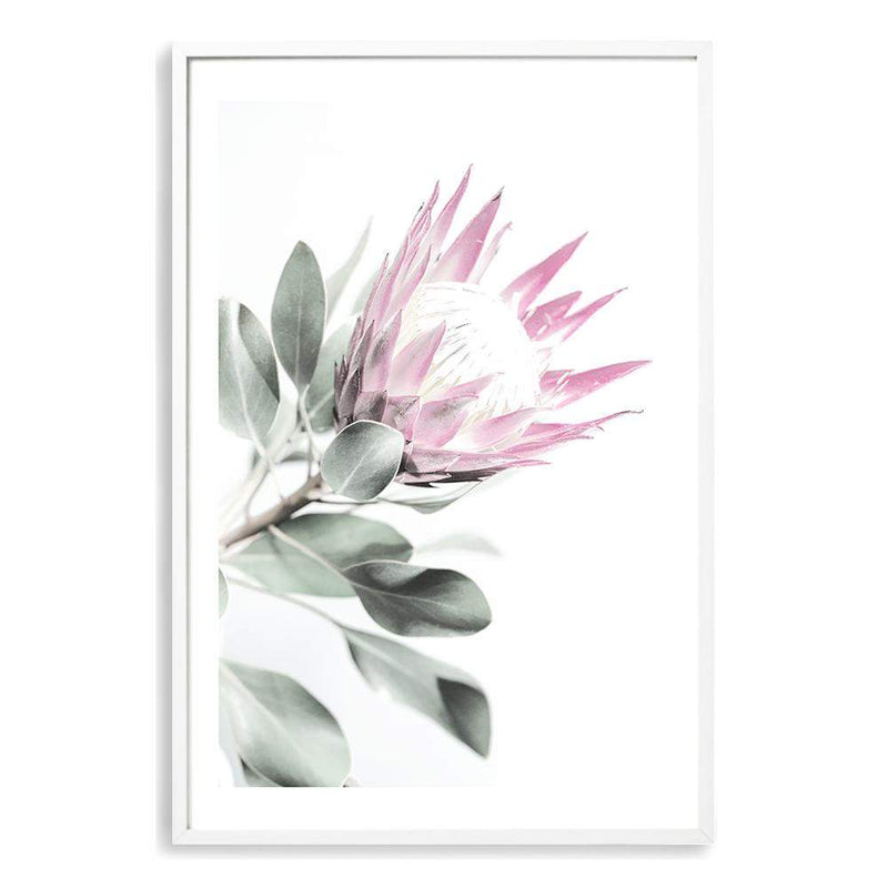 Pink Protea II-The Paper Tree-dusty pink,floral,flower,flowers,pink flower,pink protea,portrait,premium art print,protea,protea flower,protea flowers,wall art,Wall_Art,Wall_Art_Prints