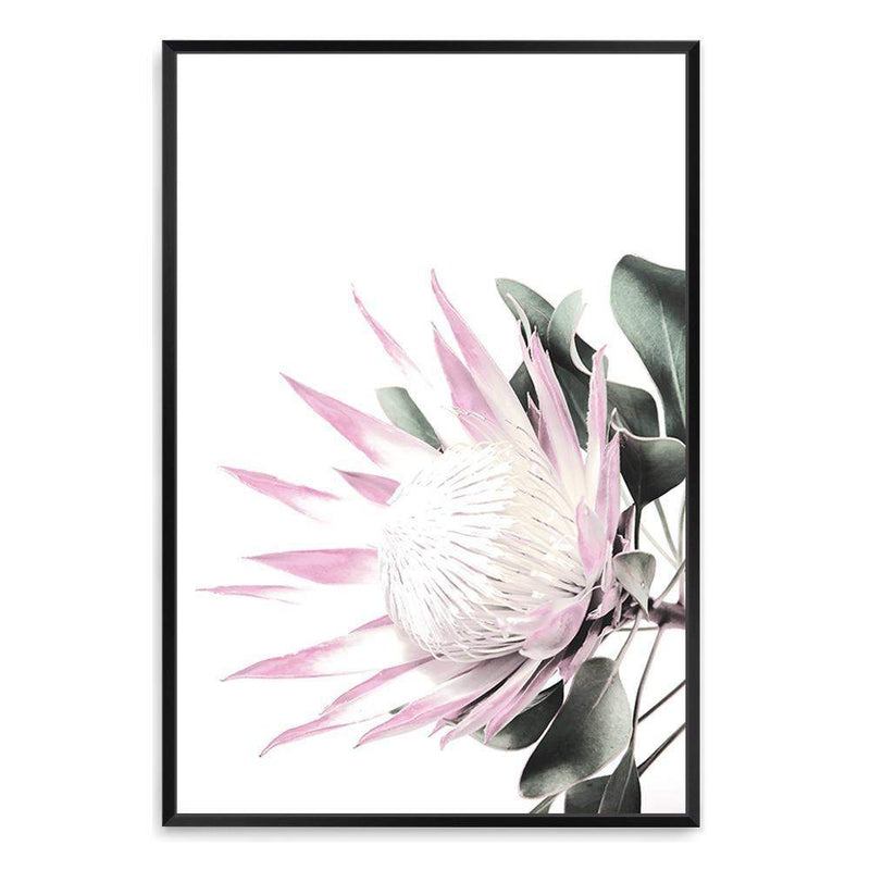 Pink Protea-The Paper Tree-dusty pink,floral,flower,flowers,pink flower,pink protea,portrait,premium art print,protea,protea flower,protea flowers,wall art,Wall_Art,Wall_Art_Prints