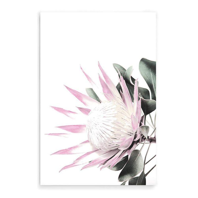 Pink Protea-The Paper Tree-dusty pink,floral,flower,flowers,pink flower,pink protea,portrait,premium art print,protea,protea flower,protea flowers,wall art,Wall_Art,Wall_Art_Prints