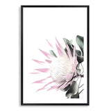 Pink Protea-The Paper Tree-dusty pink,floral,flower,flowers,pink flower,pink protea,portrait,premium art print,protea,protea flower,protea flowers,wall art,Wall_Art,Wall_Art_Prints