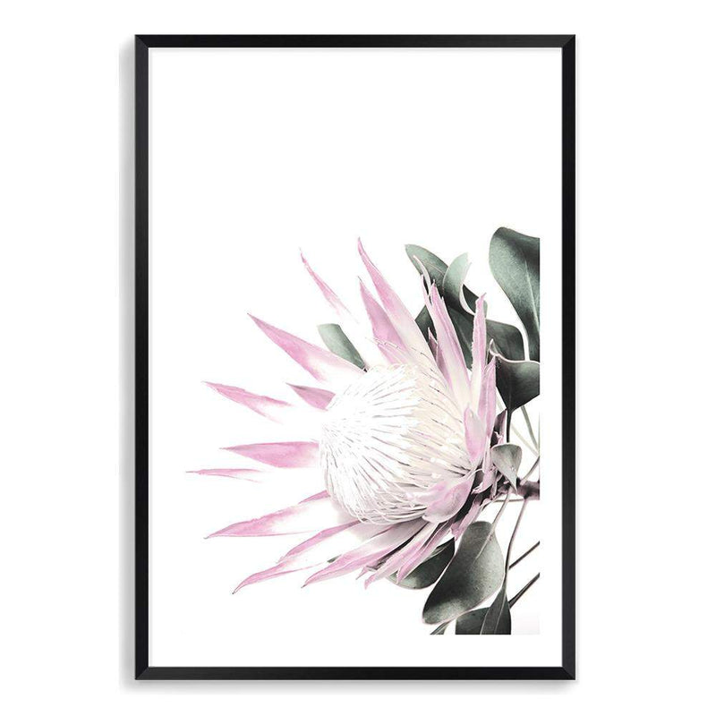 Pink Protea-The Paper Tree-dusty pink,floral,flower,flowers,pink flower,pink protea,portrait,premium art print,protea,protea flower,protea flowers,wall art,Wall_Art,Wall_Art_Prints