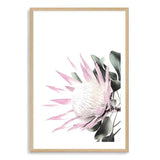 Pink Protea-The Paper Tree-dusty pink,floral,flower,flowers,pink flower,pink protea,portrait,premium art print,protea,protea flower,protea flowers,wall art,Wall_Art,Wall_Art_Prints