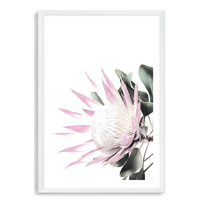 Pink Protea-The Paper Tree-dusty pink,floral,flower,flowers,pink flower,pink protea,portrait,premium art print,protea,protea flower,protea flowers,wall art,Wall_Art,Wall_Art_Prints