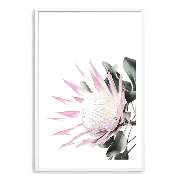 Pink Protea-The Paper Tree-dusty pink,floral,flower,flowers,pink flower,pink protea,portrait,premium art print,protea,protea flower,protea flowers,wall art,Wall_Art,Wall_Art_Prints