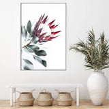 Red King Protea II-The Paper Tree-floral,flower,flowers,portrait,premium art print,protea,protea flower,protea flowers,red,red flower,red protea,red protea flower,wall art,Wall_Art,Wall_Art_Prints