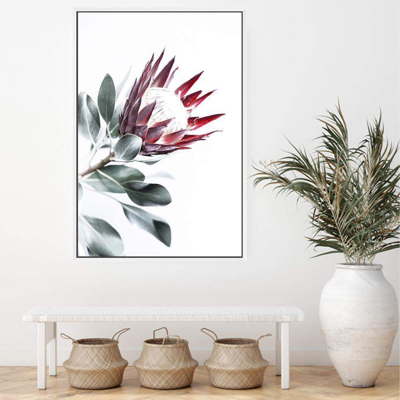 Red King Protea II-The Paper Tree-floral,flower,flowers,portrait,premium art print,protea,protea flower,protea flowers,red,red flower,red protea,red protea flower,wall art,Wall_Art,Wall_Art_Prints