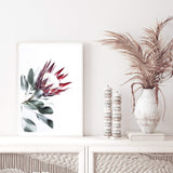 Red King Protea II-The Paper Tree-floral,flower,flowers,portrait,premium art print,protea,protea flower,protea flowers,red,red flower,red protea,red protea flower,wall art,Wall_Art,Wall_Art_Prints